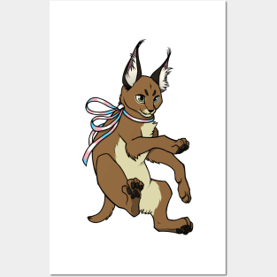 Transgender Pride Caracal (Trans Floppa) Posters and Art